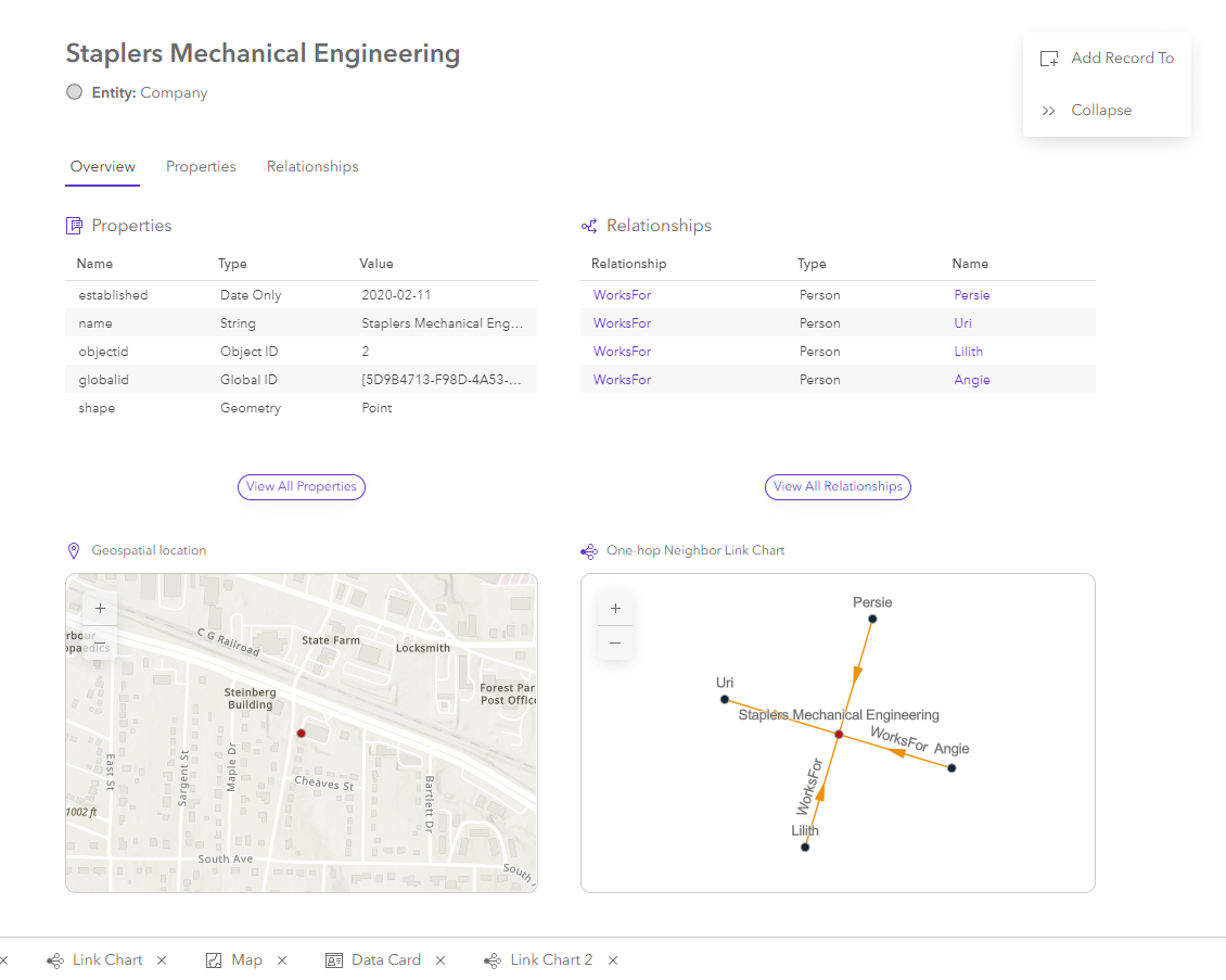 Content for a selected entity on the Overview tab in the knowledge graph view